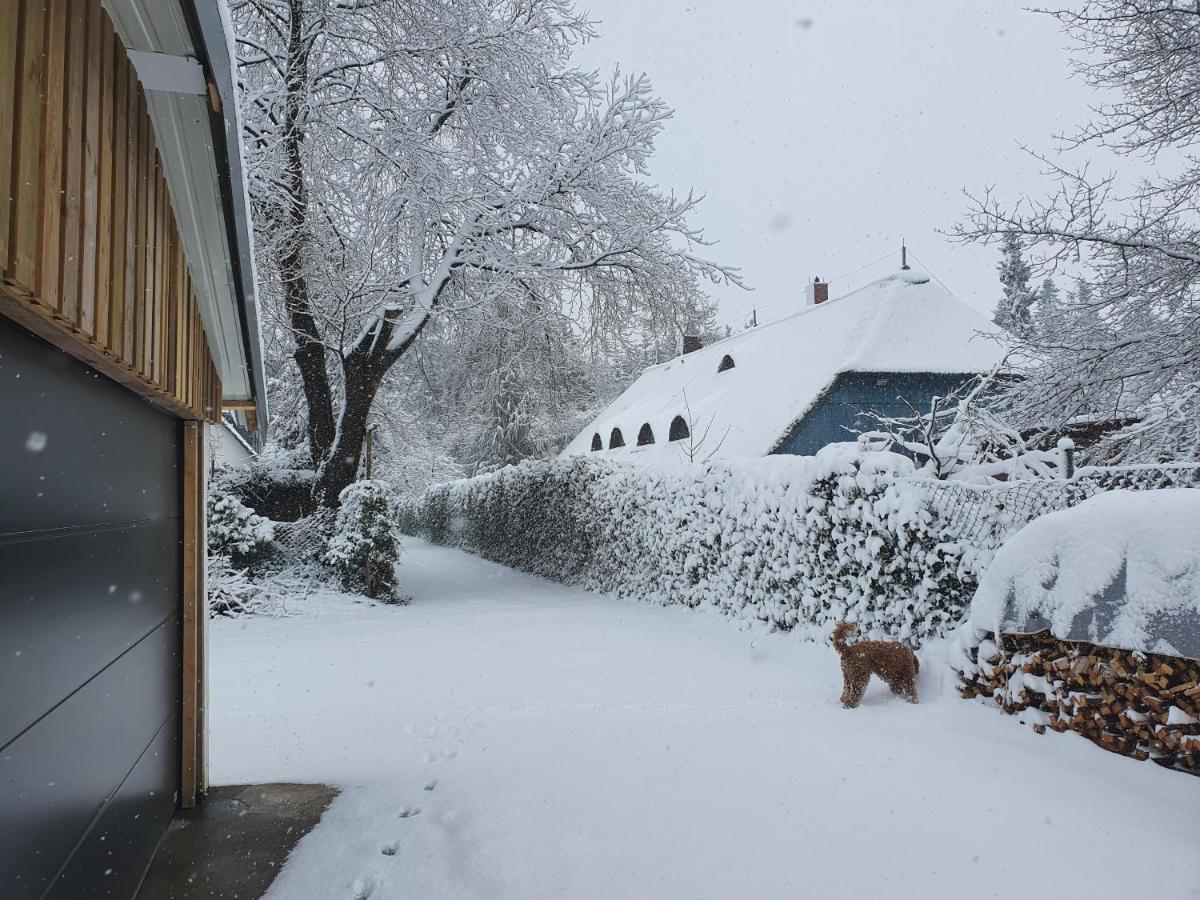 Haus Gutland Βίλα Wedel Εξωτερικό φωτογραφία